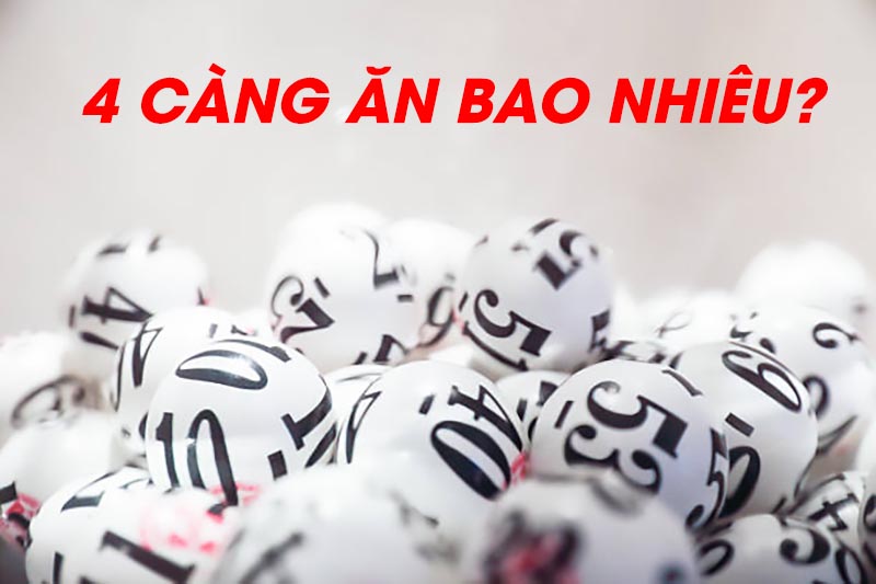 4 càng ăn bao nhiêu