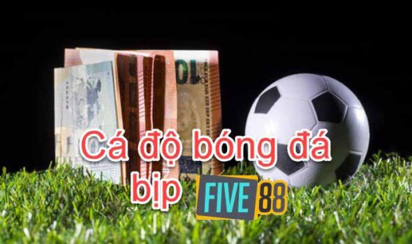 Cá độ bóng đá bịp