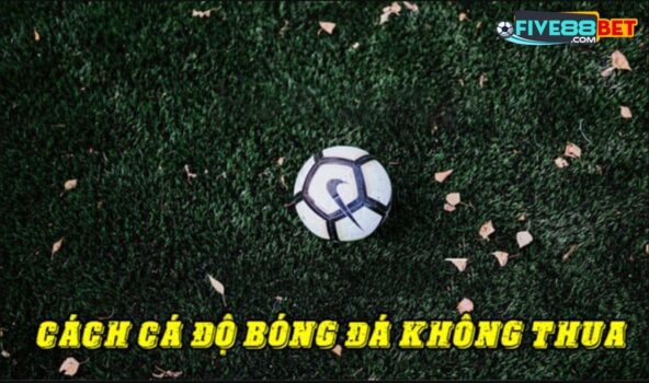 S-sports chơi cực kỳ uy tín