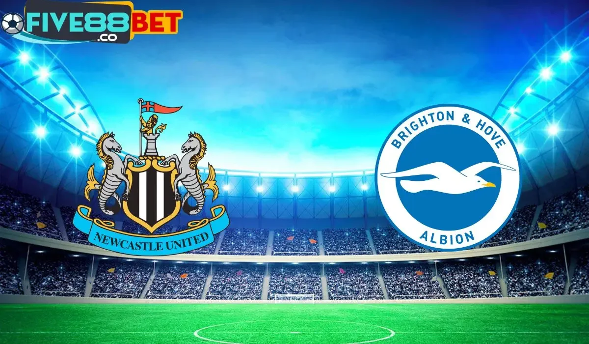 Soi kèo Newcastle vs Brighton 21h00 11/05/2024 Ngoại Hạng Anh